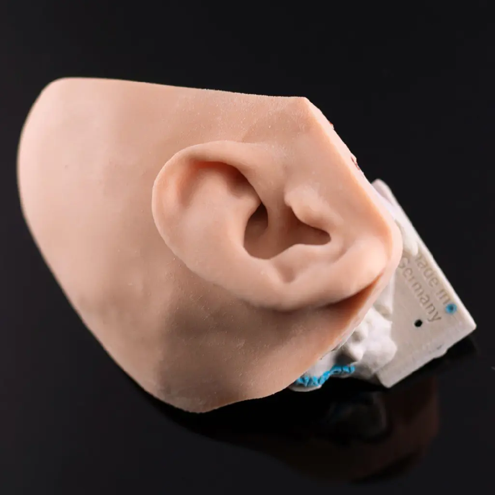 依据真人颞骨CT资料，采用类骨质复合材料，以高解析度3D打印...